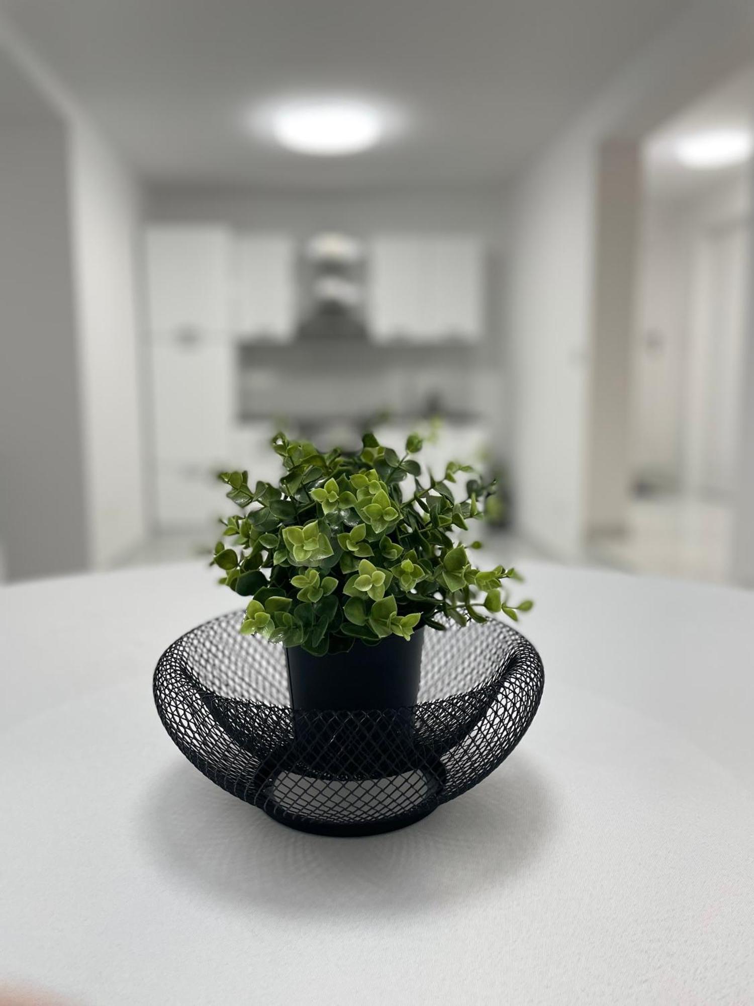 White - Private Parking&garage